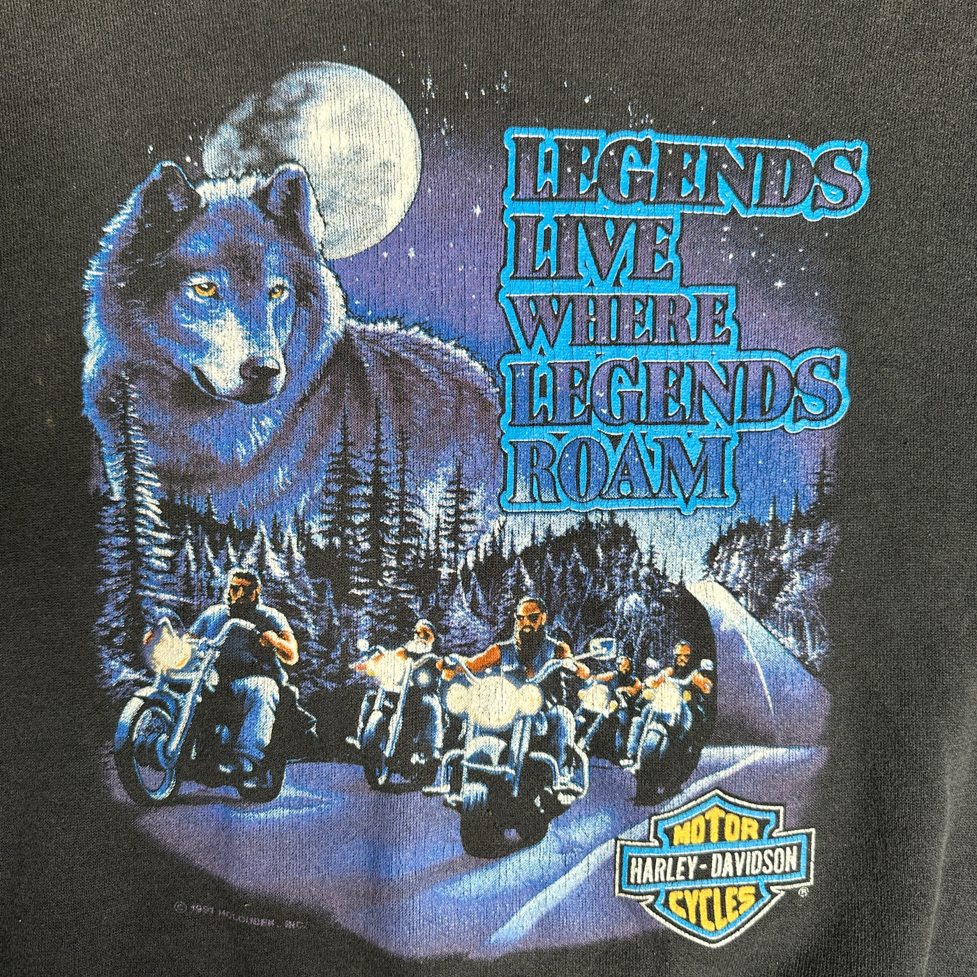 Harley Davidson "Legends live where Legends Roam" Sweatshirt sz L